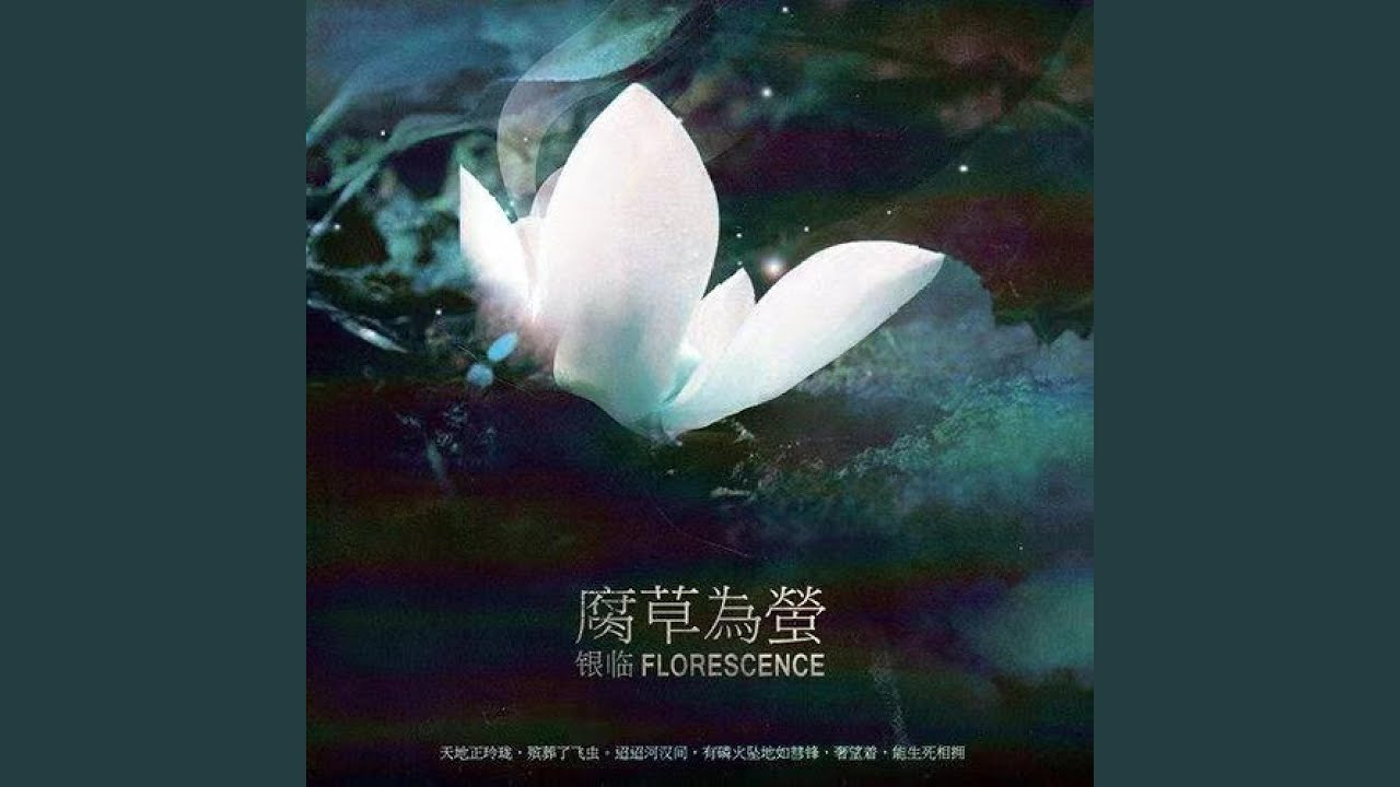 泸沽寻梦
