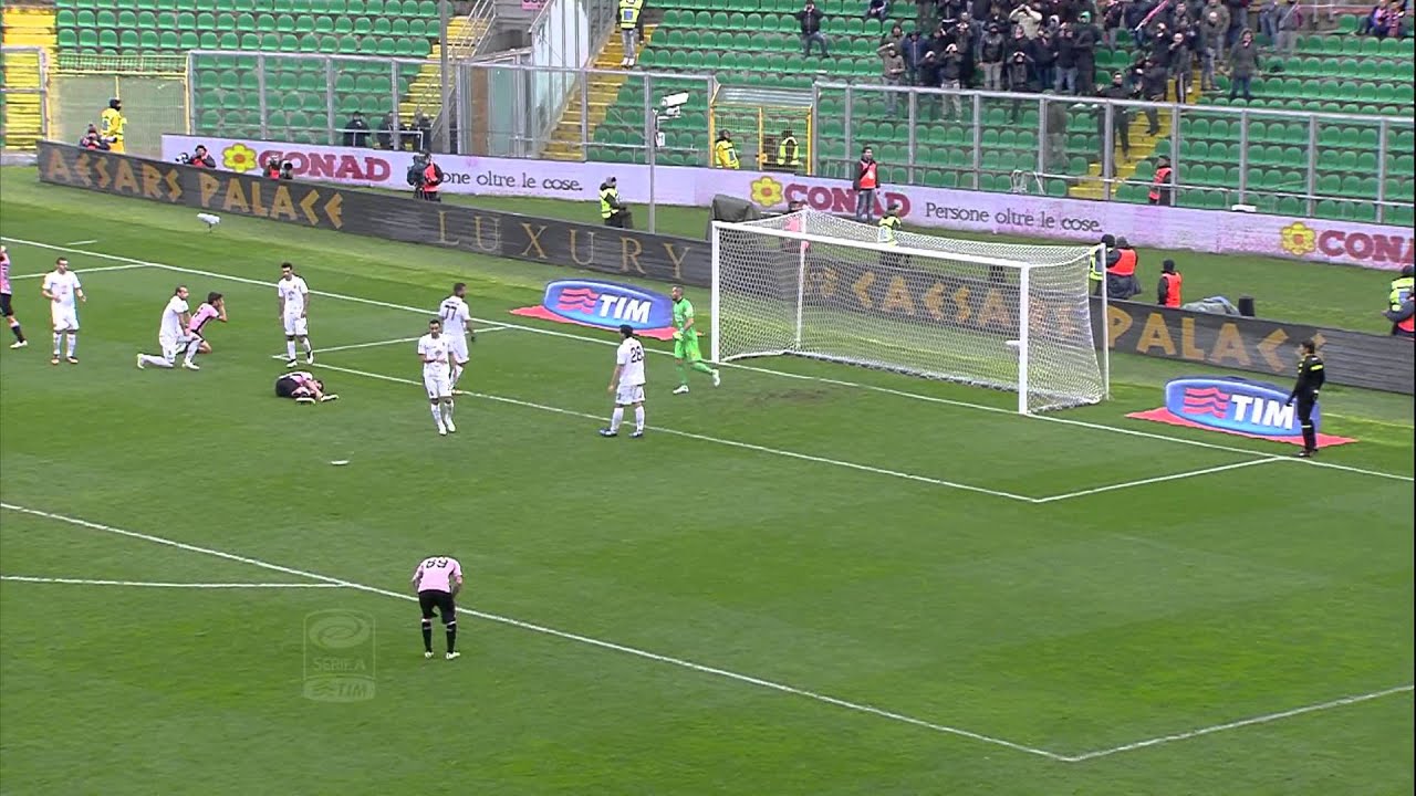 Palermo - Hellas Verona 2-1 - Highlights - Giornata 21 - Serie A TIM 2014/15
