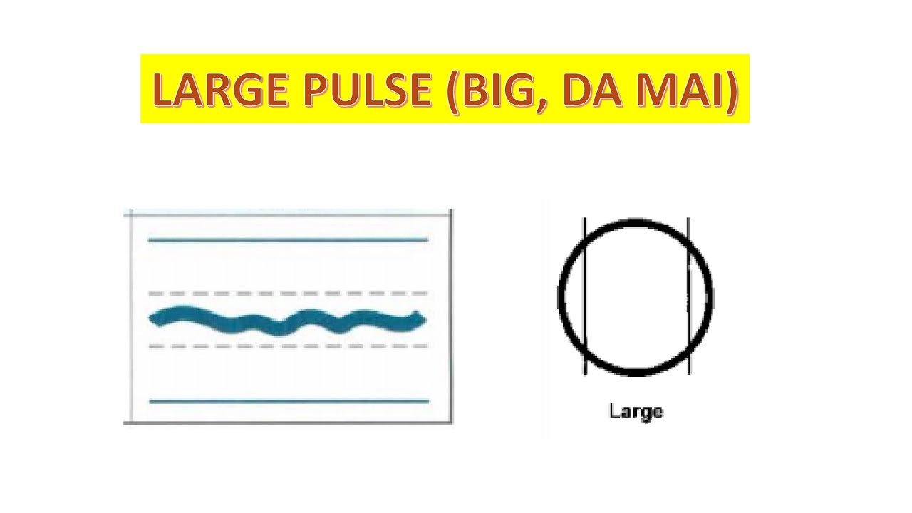 LARGE PULSE (BIG, DA MAI)