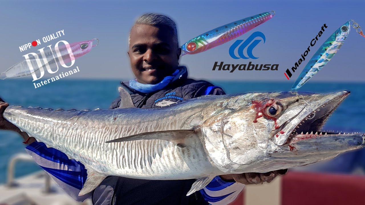 Catching many pelogics Using Japanese Jigs - Duo,Hayabusa,Major Craft Jigpara) {ENG SUB}
