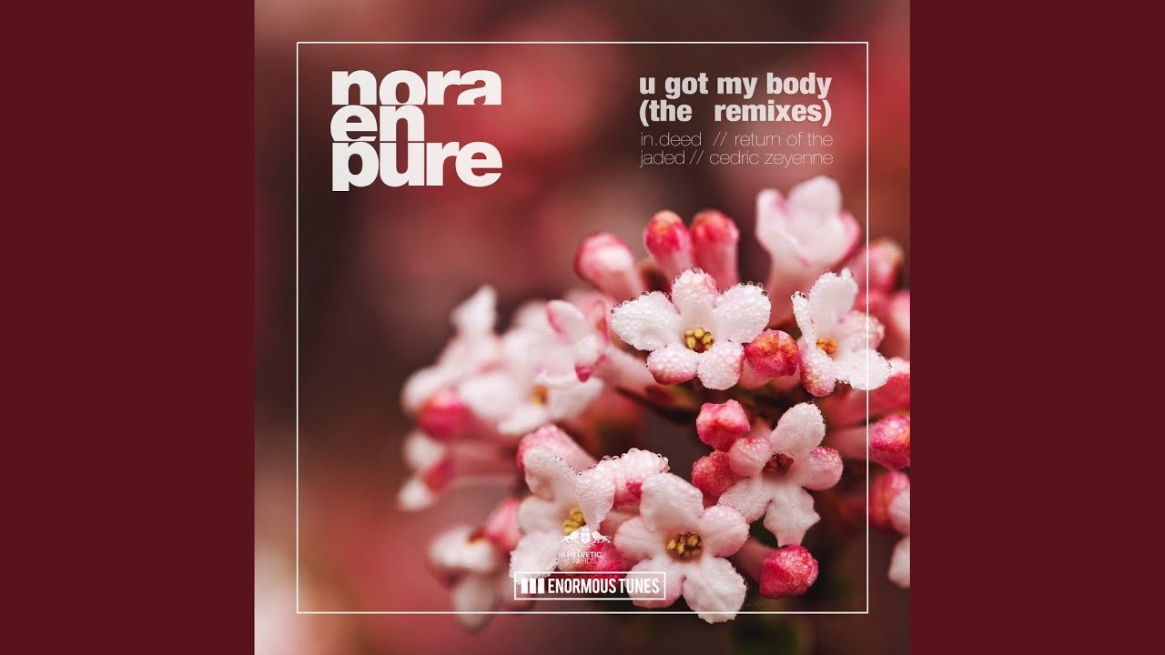 U Got My Body (In.Deed Extended Remix)