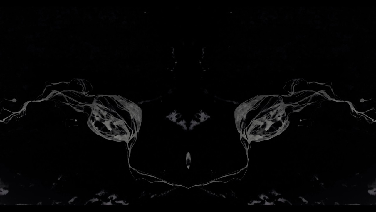 Liljor - Nattens F&aring;glar (Official)