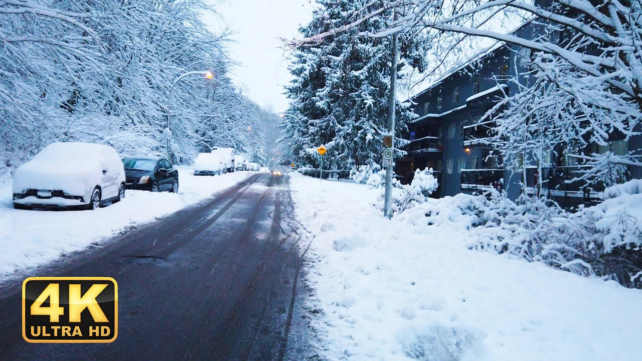 Virtual Winter Wonder: The Most Realistic Snowy Walk Experience Yet!