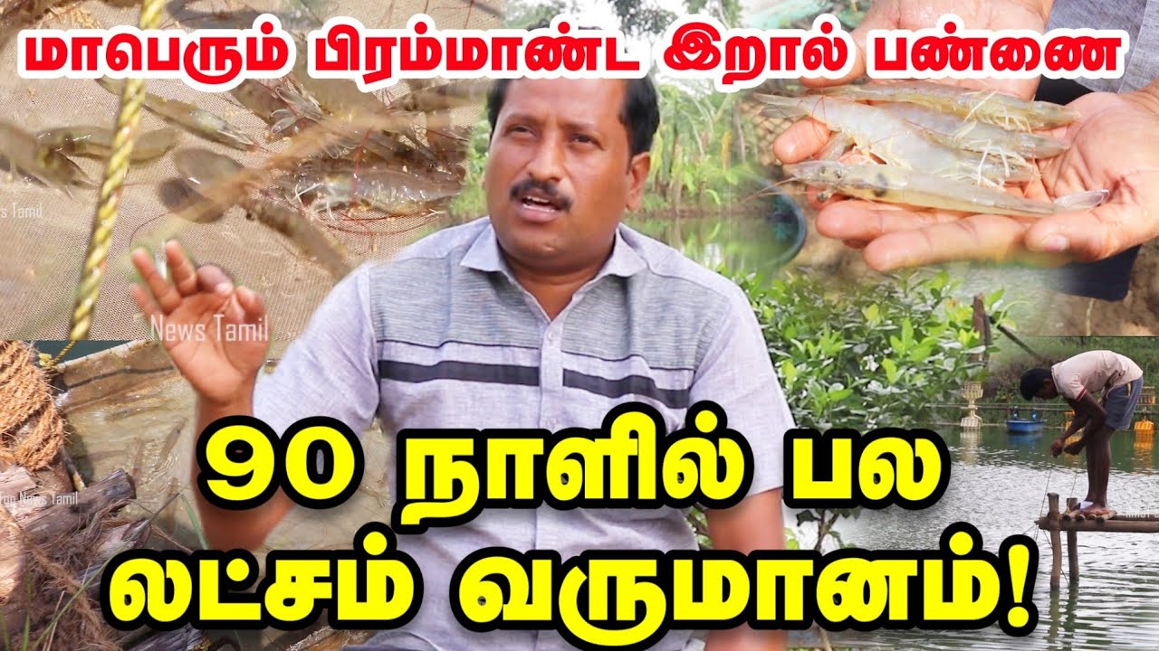 இறால் வளர்ப்பு - மாதம் பல லட்சம் வருமானம் | 1 ஏக்கரில் தொடங்கி 15 ஏக்கரில் பிரம்மாண்ட பண்ணை ! Prawn