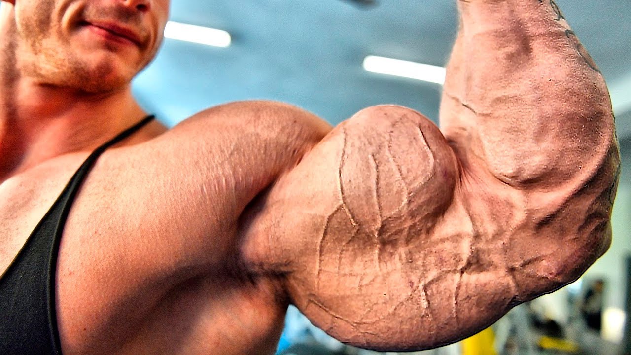 POWERFUL ARM DAY MOTIVATION 💪