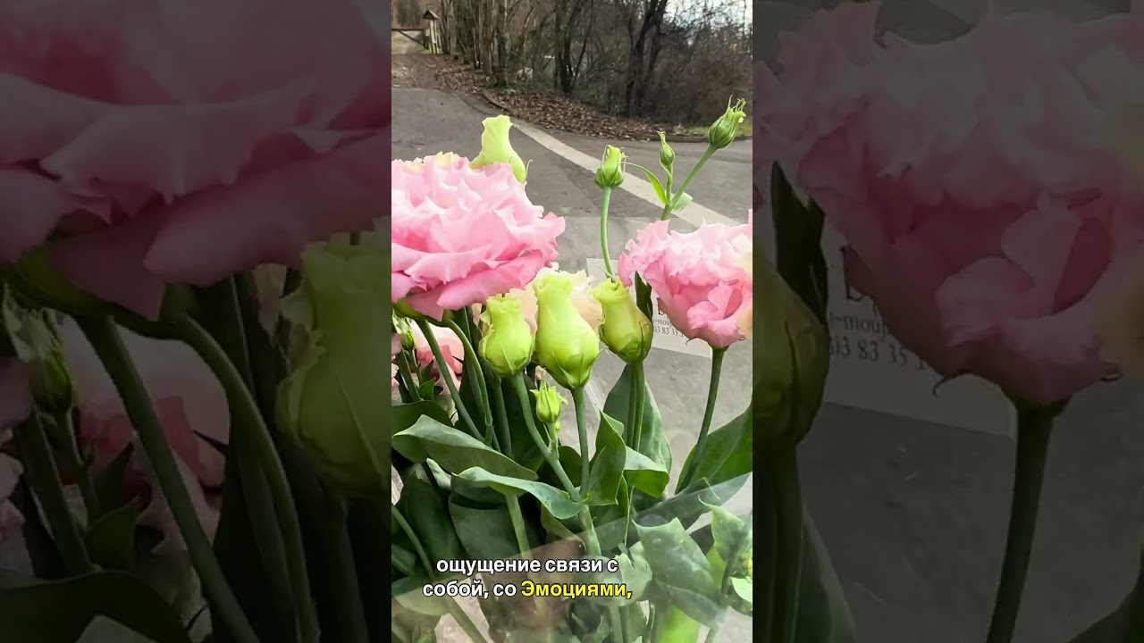  это чувство уже жило во мне ♻️ Соткана из ощущений᯽ #ТихаяЯсность#ПрисутствуюВСебе