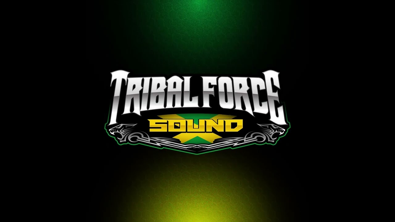 Tribal Force Sound Dub Plate Mix Volume 4 - Street Sweeper Riddim
