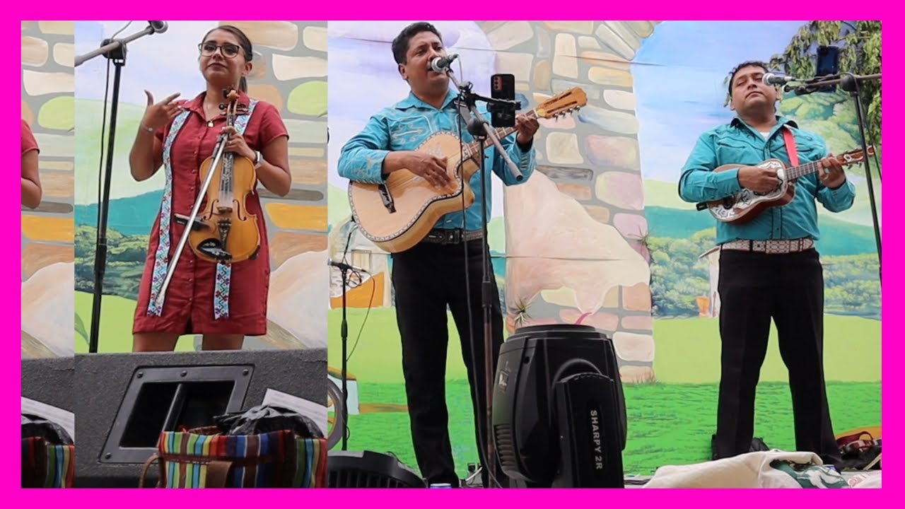 Excelente! Bien Tocada La Azucena Con Cantores De Valles + Marilupe De Gallitos Huastecos En Xilitla