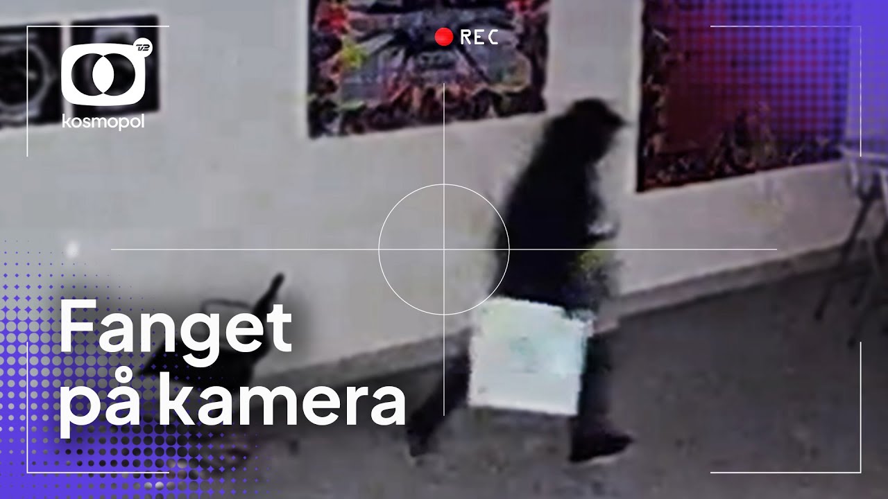 Stjålen bil smadrer igennem port hos kendt kunstner