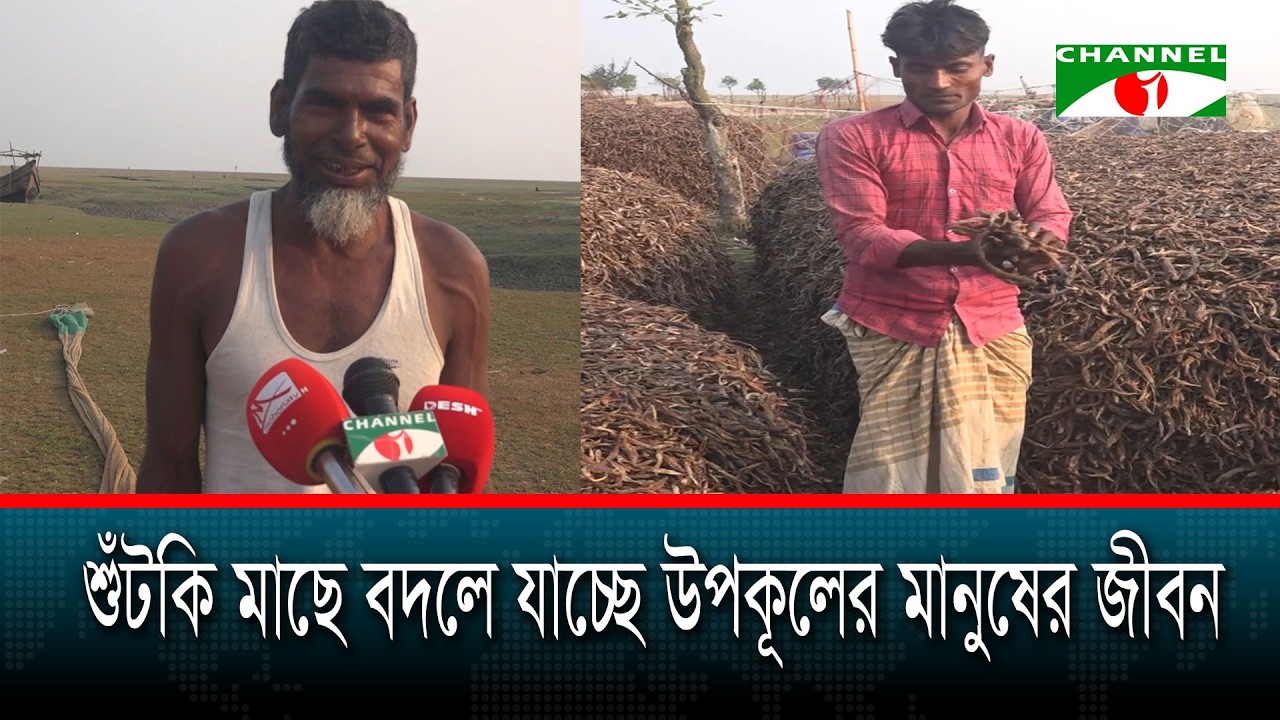 শুটকি মাছে বদলে যাচ্ছে উপকূলের মানুষের জীবন