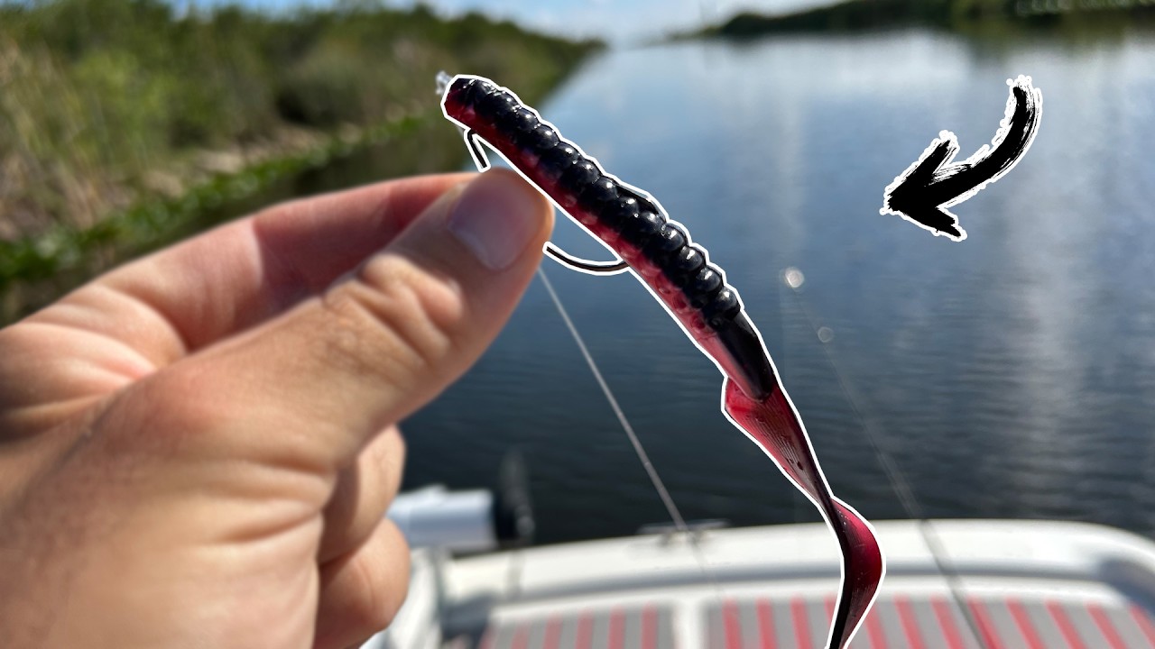 Fishing Everglades Canals - So Many Fish!!