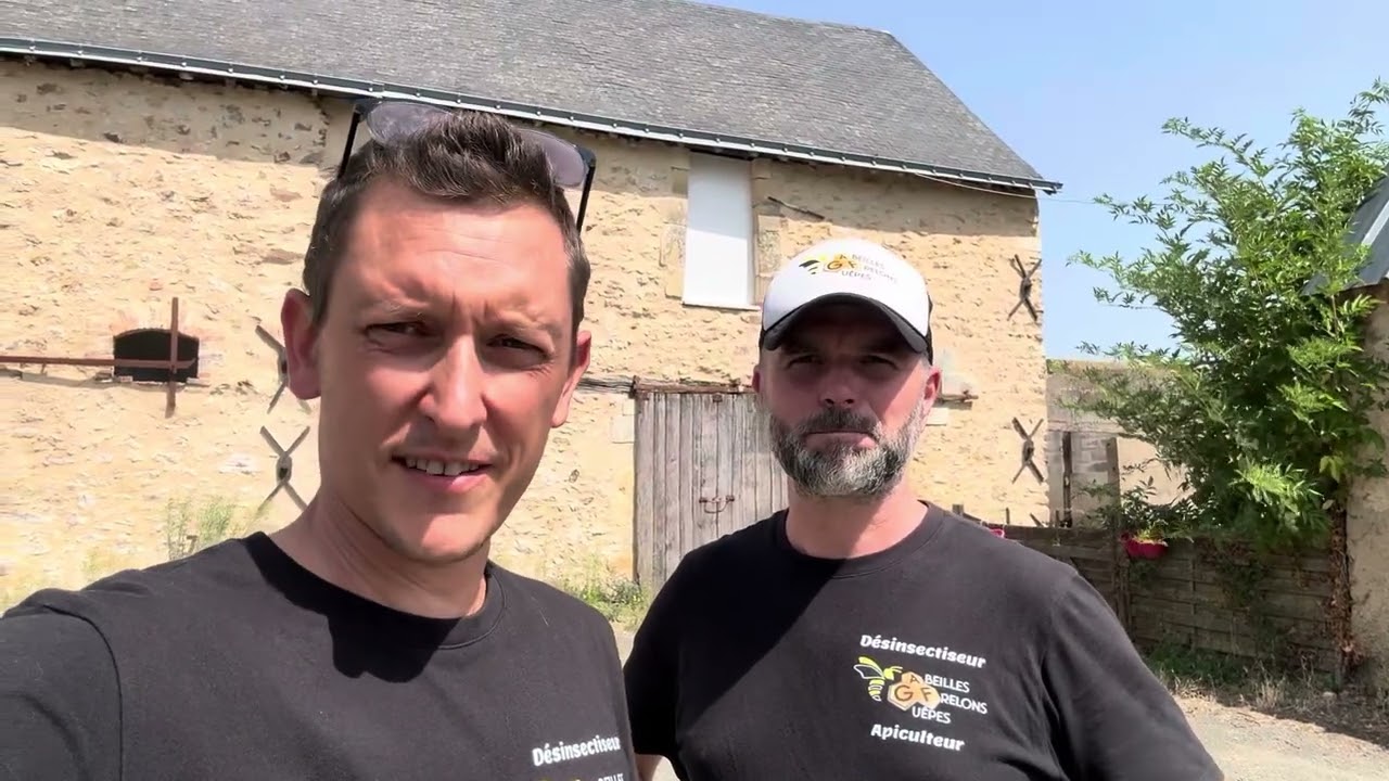 Journée, découverte avec AFG49, traitement insolite, Frelons, asiatique et européen, toute config...