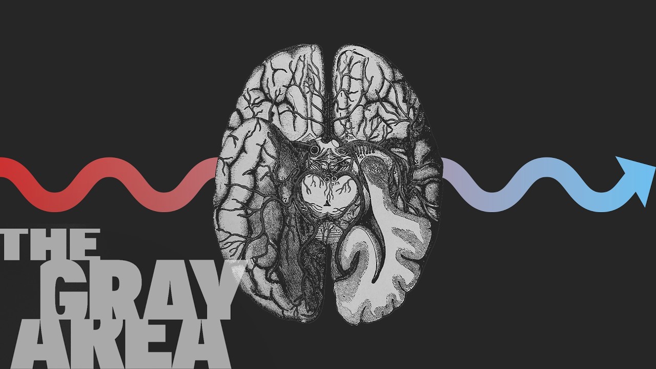 Your brain's role in your politics | The Gray Area