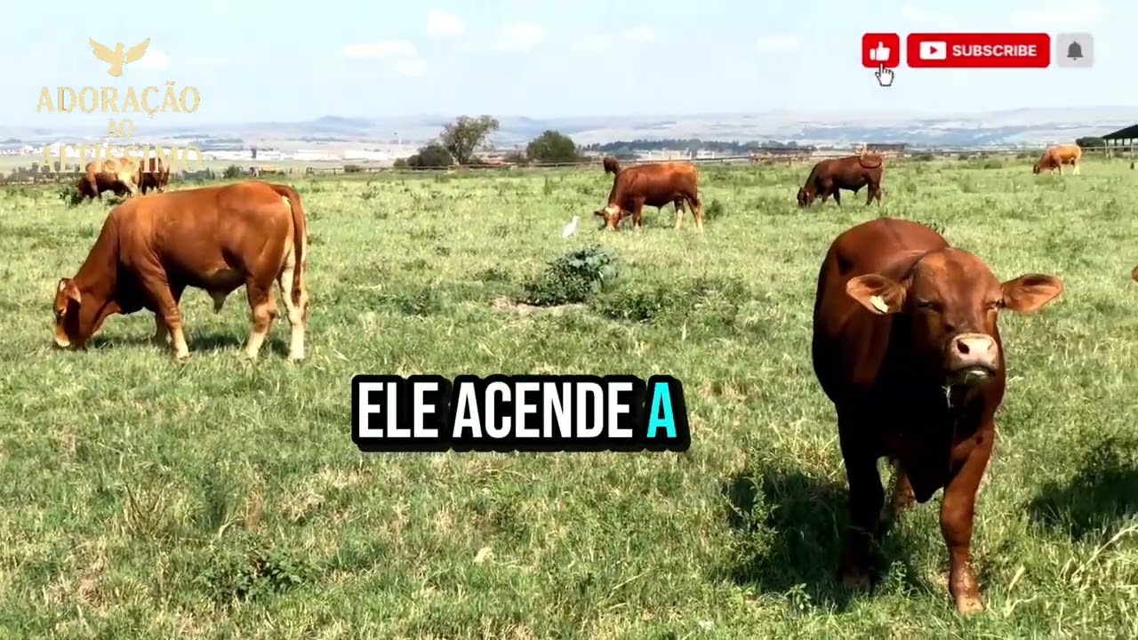 Eu vou Vencer com Jesus./ Louvor de coragem e conquistas/ lançamento 2026