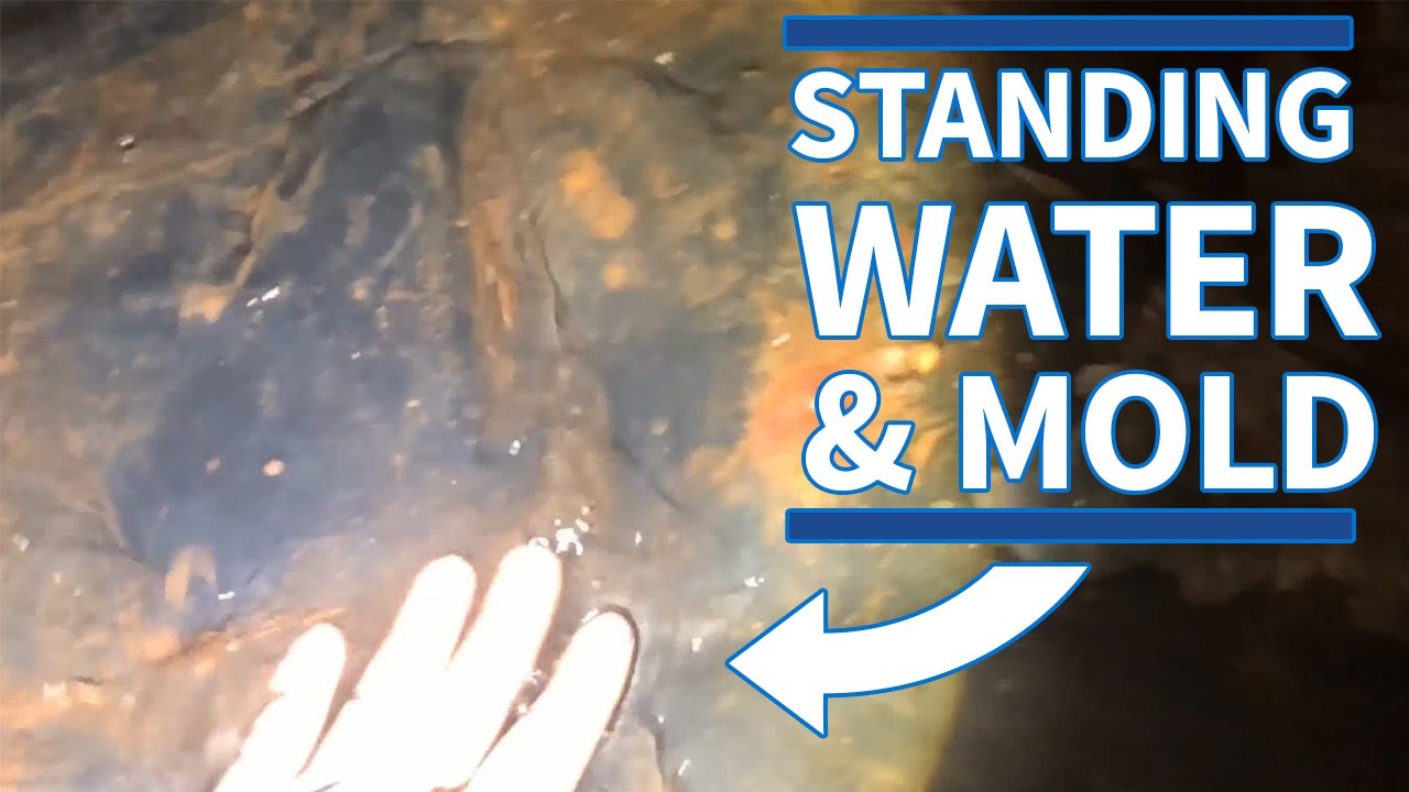 What happens to crawl spaces in North Carolina - Advanced Vent Solutions