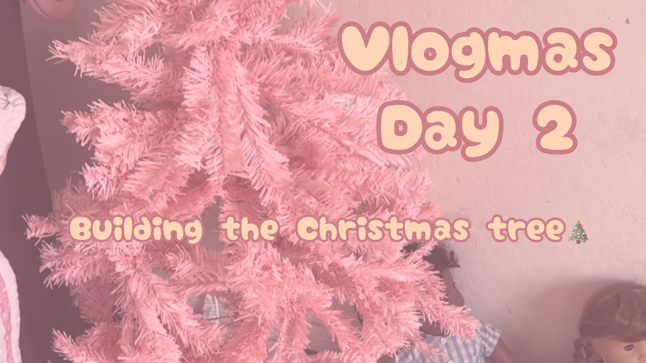 ˚ʚ Vlogmas День 2: Строительство рождественской елки ɞ˚ ╰┈➤ регресс возраста