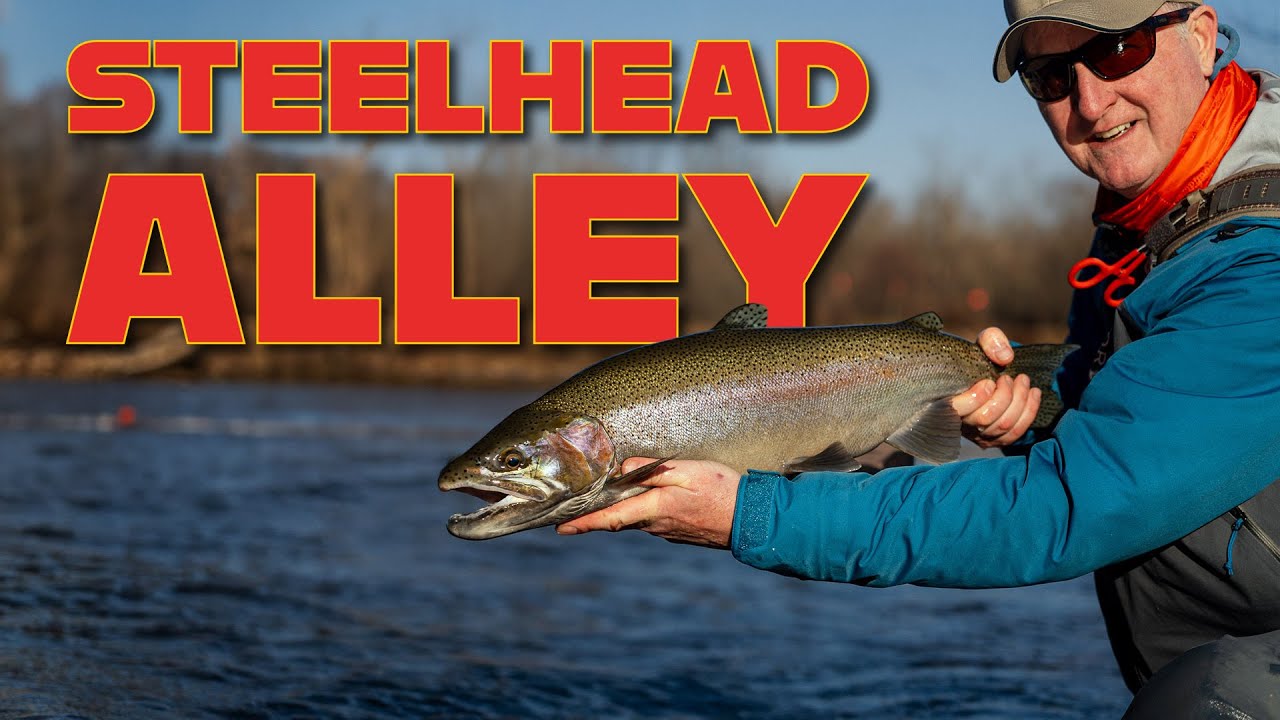 Steelhead Alley