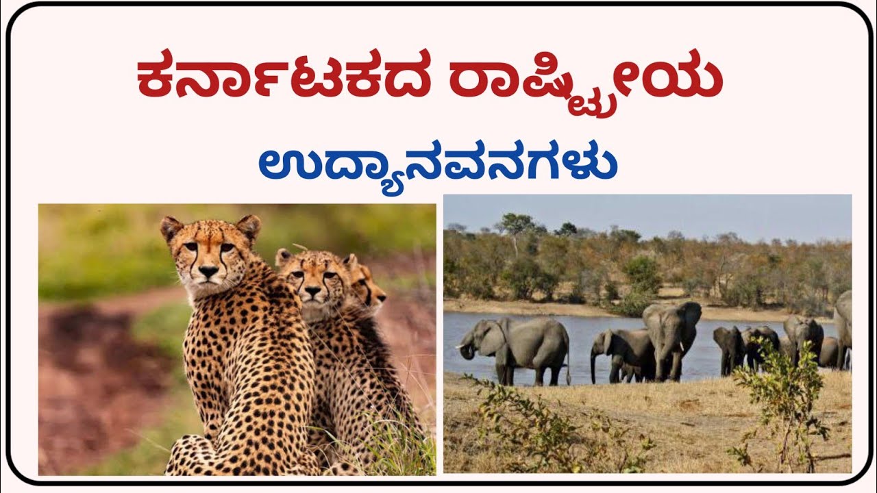 ಕರ್ನಾಟಕದ ರಾಷ್ಟ್ರೀಯ ಉದ್ಯಾನವನಗಳು ||general knowledge || kannada quiz || ಸಾಮಾನ್ಯ ಜ್ಞಾನ || ಕ್ವಿಜ್ ||