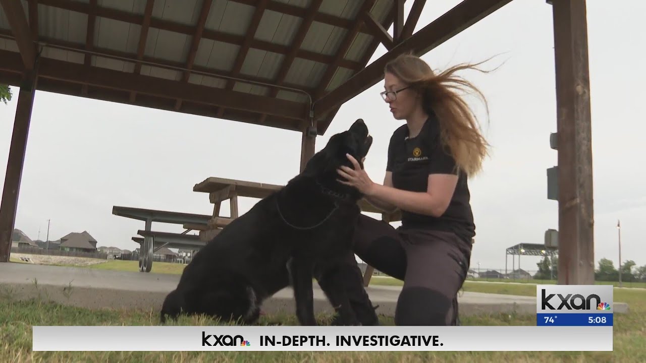 Non-profit providing financial help for retired military, police dogs | KXAN News Today