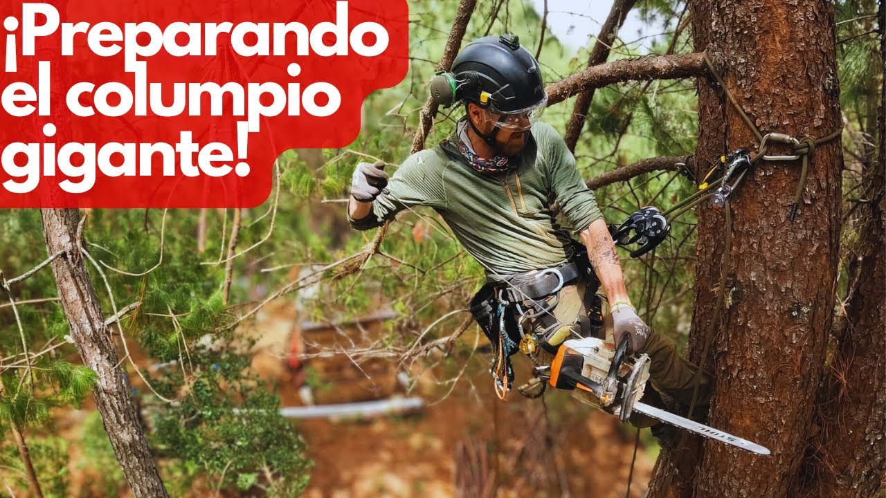 Construyendo un columpio gigante – Parte 1