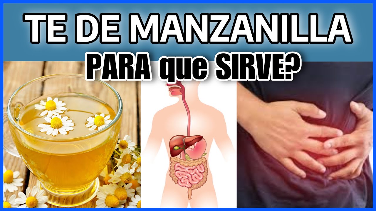 TE DE MANZANILLA POR LA NOCHE ¿Para Qué Sirve? BENEFICIOS DE LA MANZANILLA PARA SALUD Y BELLEZA