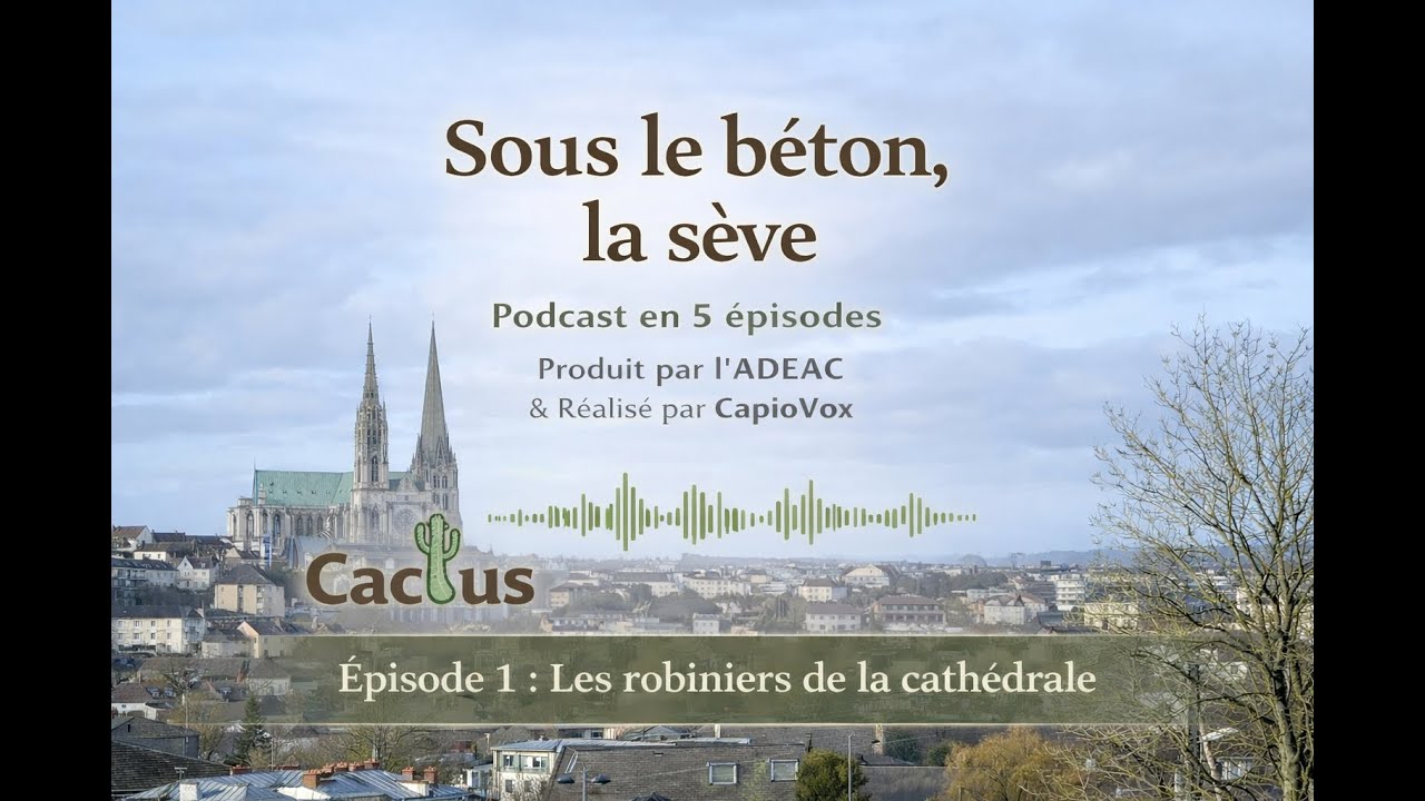 Sous le béton, la sève - Épisode 1