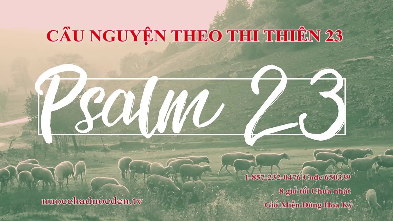Buổi Cầu Nguyện Dựa Theo Thi Thiên 23