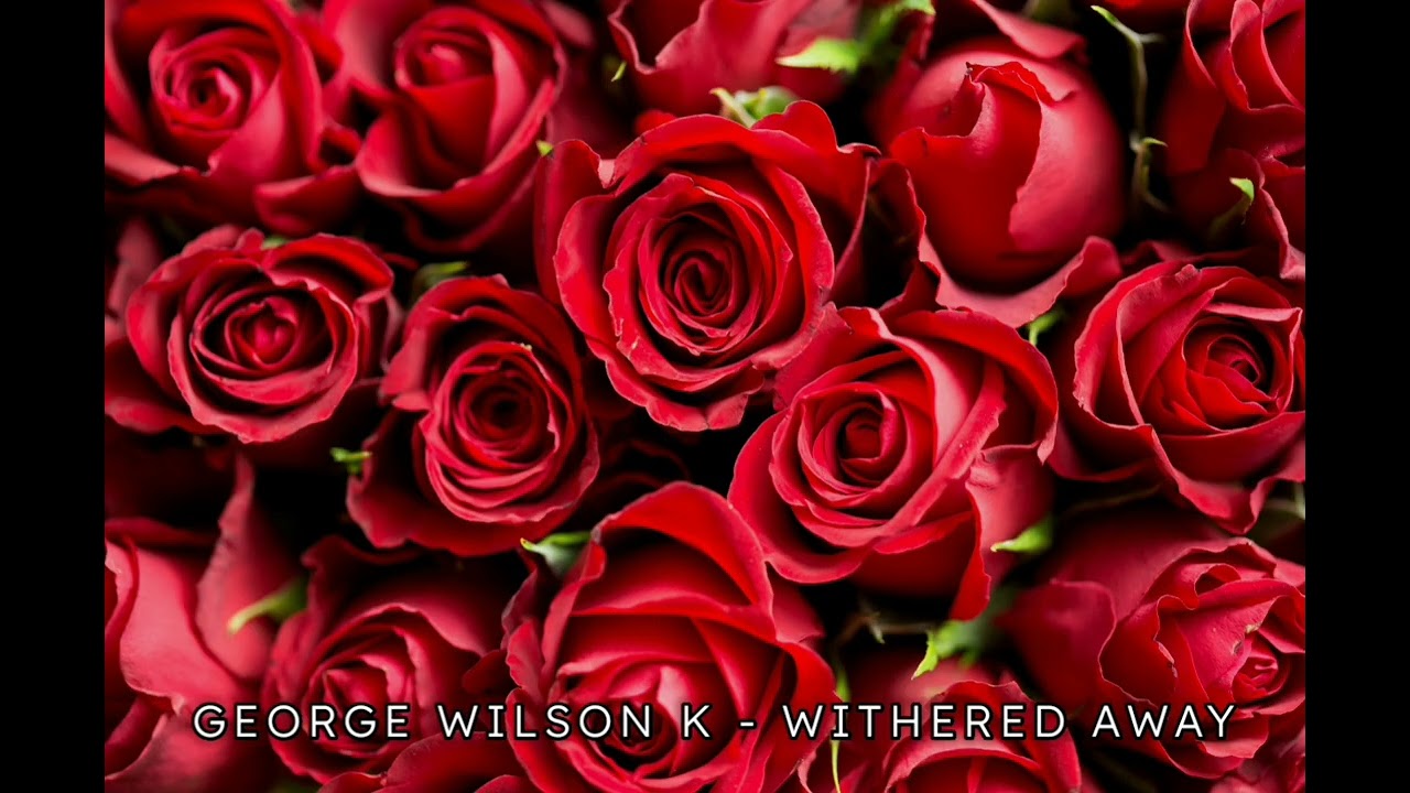 George Wilson K - Withered Away [from: 