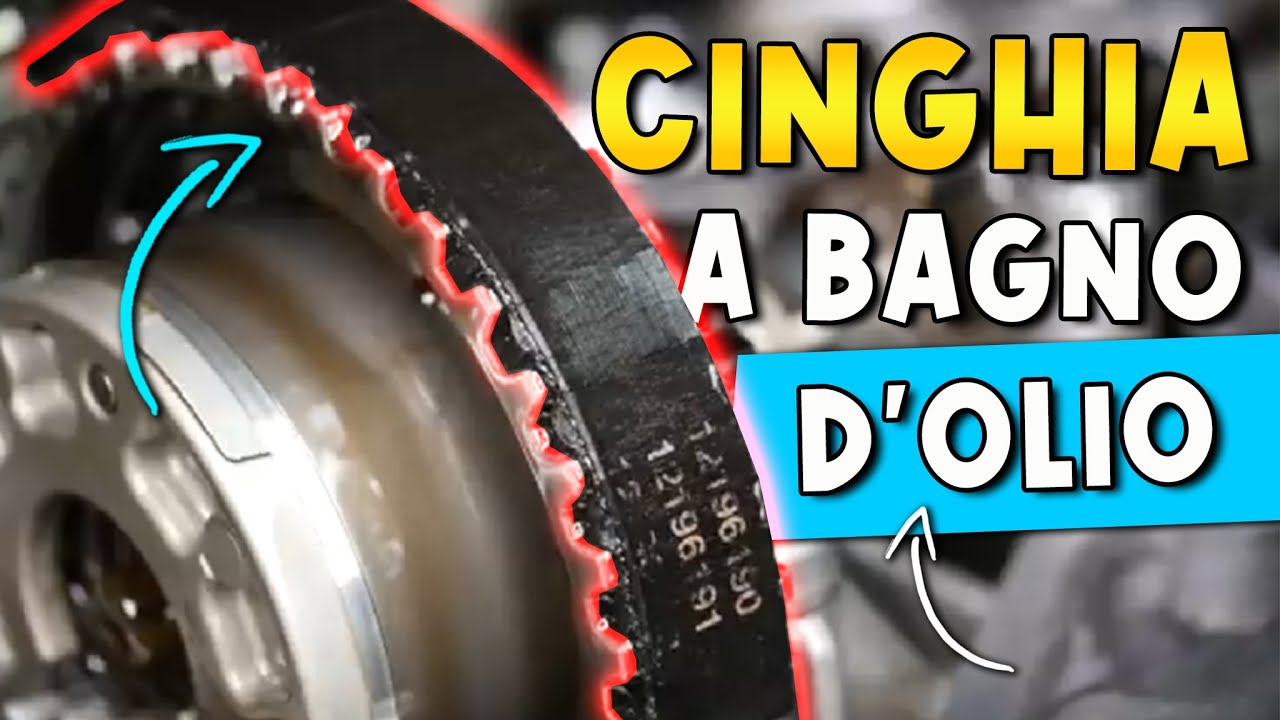 CINGHIA A BAGNO D'OLIO - SAI DI AVERLA? UN CANCRO PER IL MOTORE