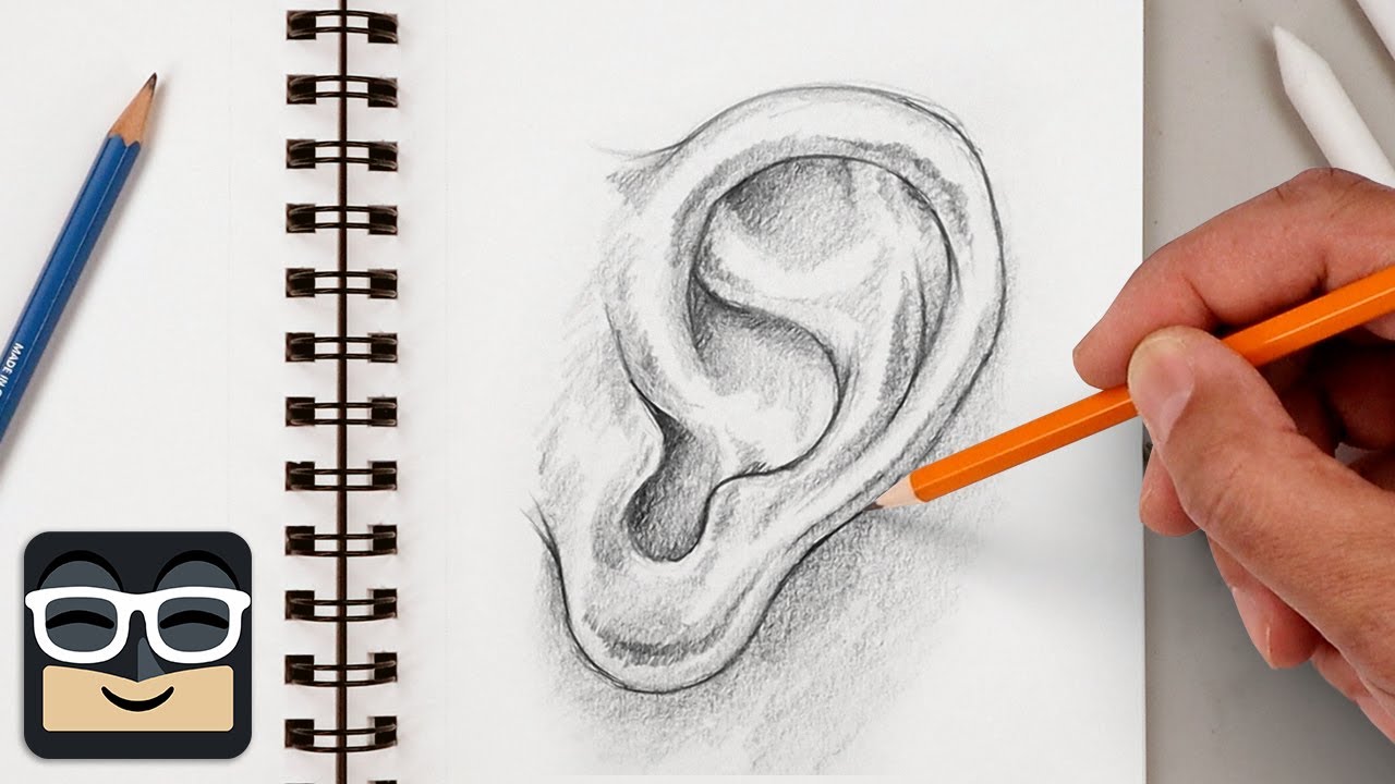 How to Draw a Human Ear | Step by Step Sketch Tutorial
