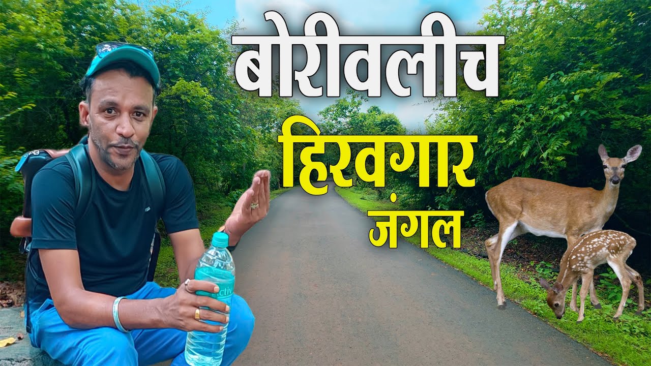 बोरीवलीच हिरवगार जंगल | मासे पकडले | Sanjay Gandhi National Park | Borivali | Nature | Mumbai