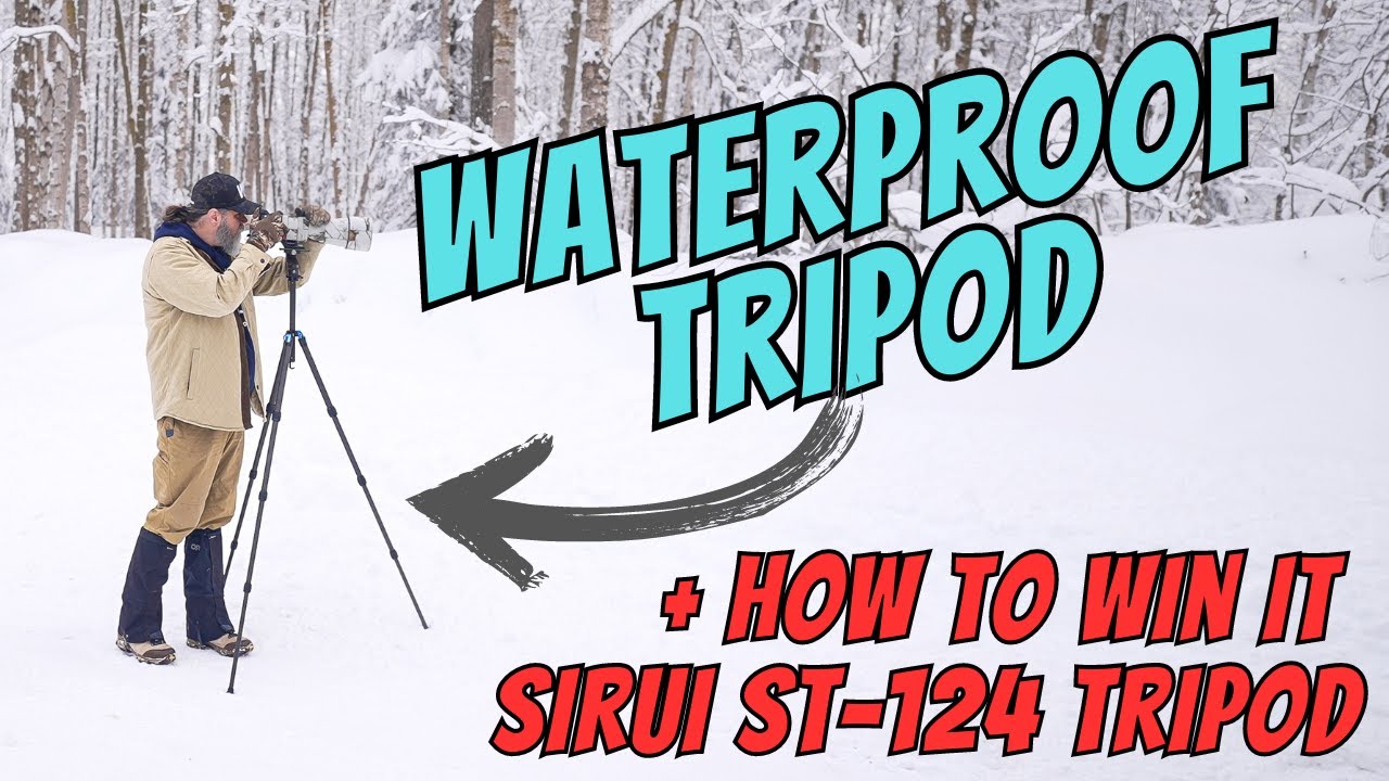 Waterproof Tripod for Wildlife Photography and How to Win It ! SIRUI ST-124