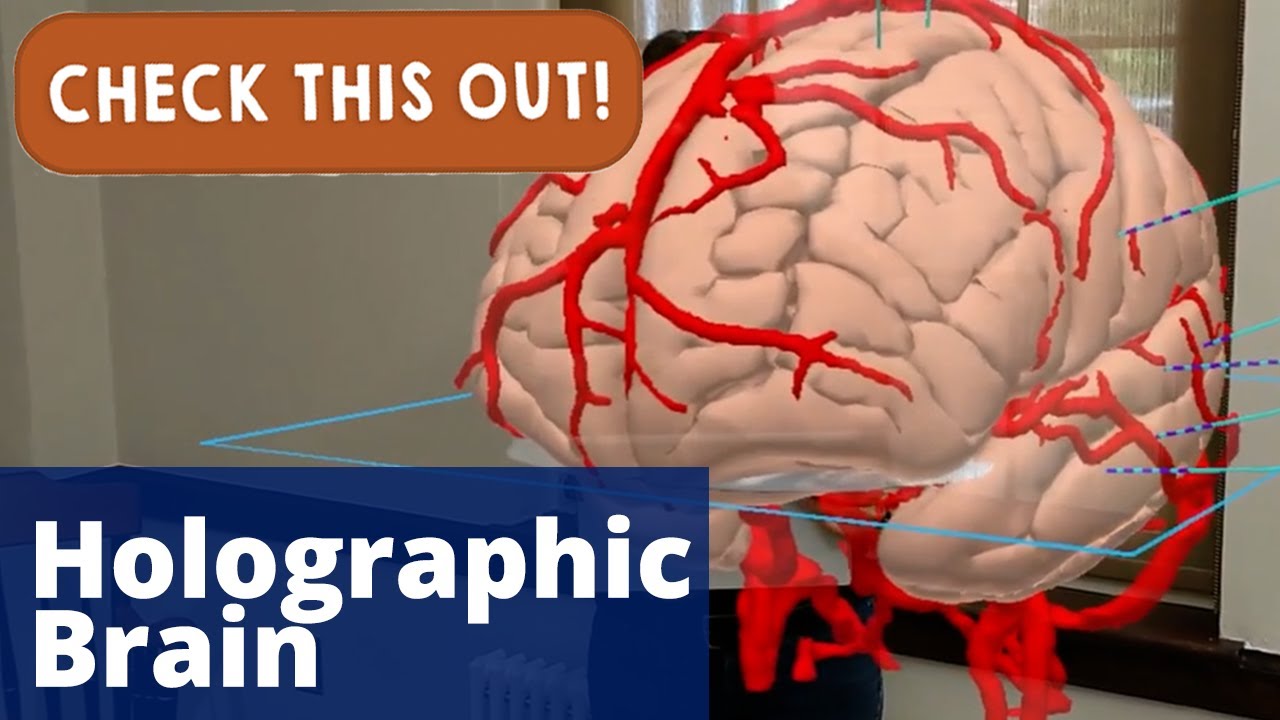 Holographic brain | Check This Out!