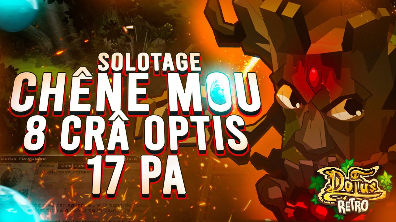 Solotage CM - 8 Crâs 17PA