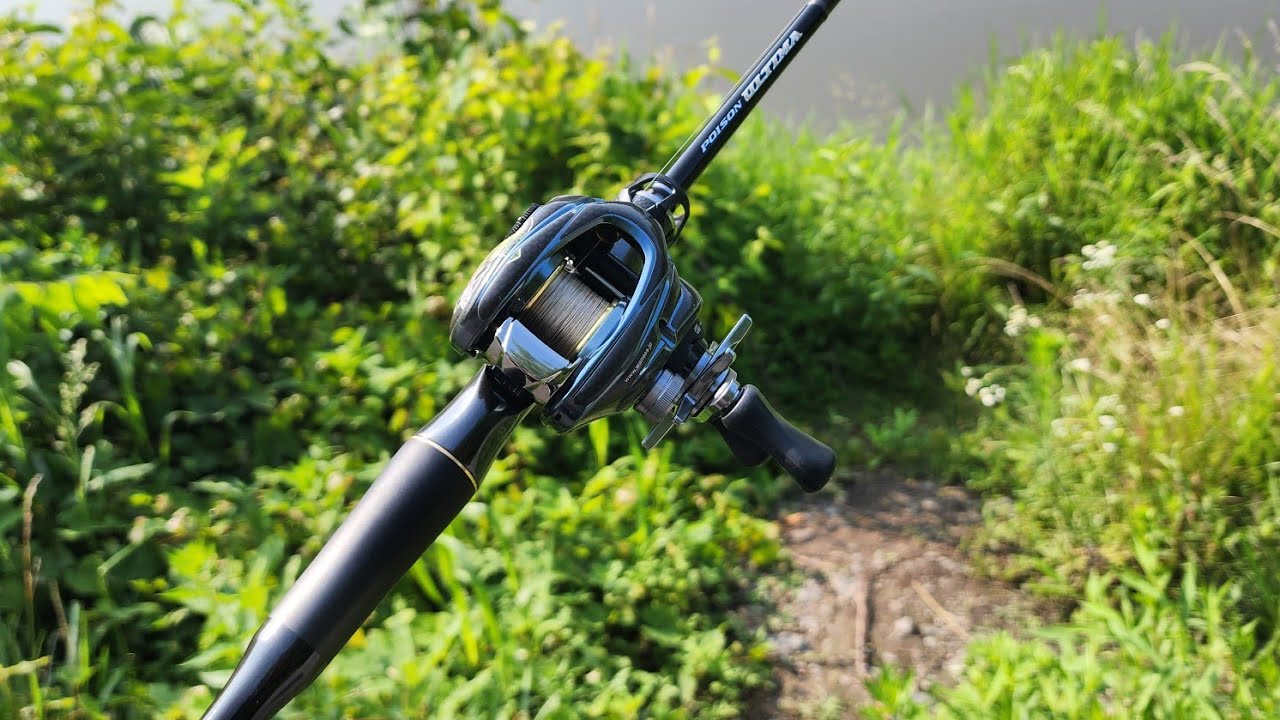 After 2 years of usage the truth about: POISON ULTIMA 5P 166L/BFS-5 (is it worth it)?
