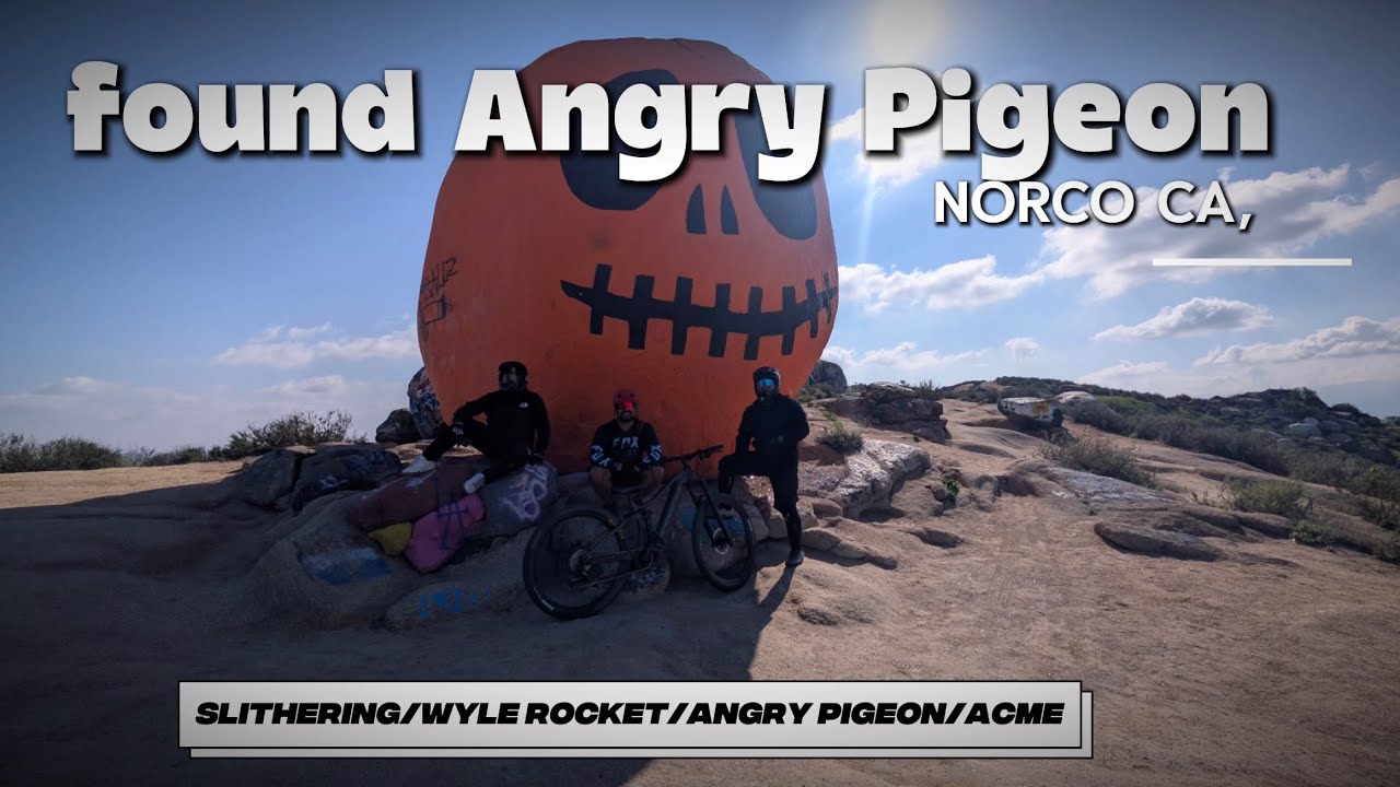 finally found Angry Pigeon in Norco 1/24/26