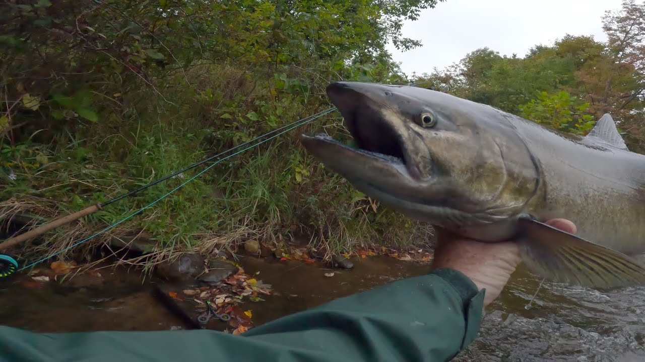 Sunday Funday on Salmon River - Pulaski, NY - Sept. 24, 2023 - 6+ Hours on River w/ Multiple Hookups