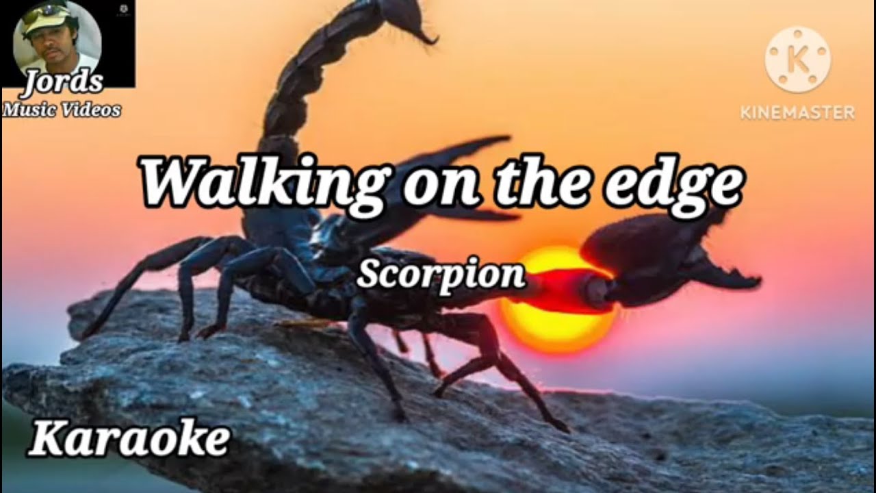 Walking on the edge / Scorpion / Karaoke