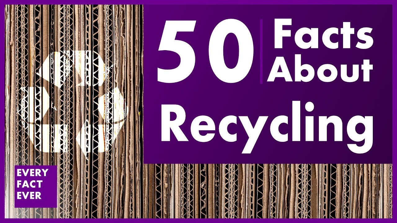 50 Facts About Recycling