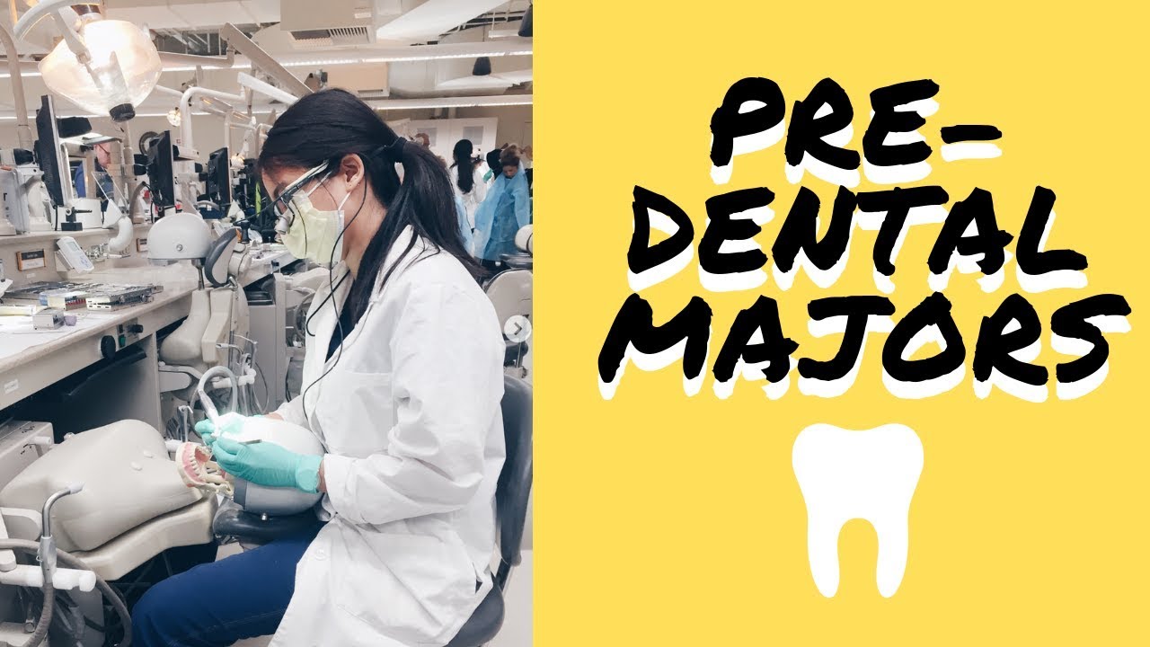 Pre-Dental Majors ft. My Classmates || Brittany Goes to Dental School?