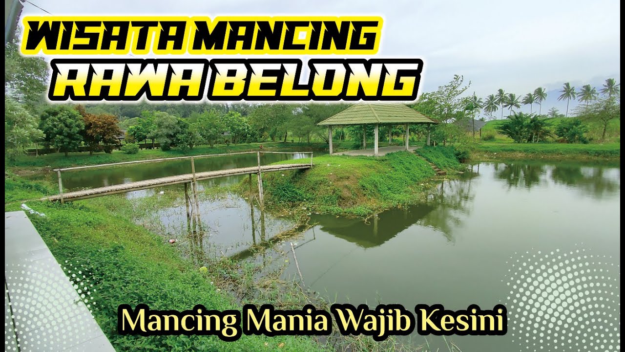 Rawa Belong Jatisari Tajinan Kondisi Terkini || Tempat Mancing yang pernah Viral di Kabupaten Malang