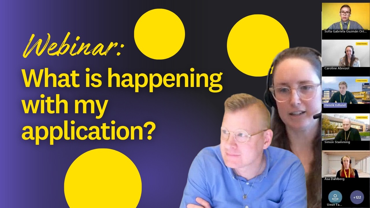 Webinar: What is happening with my application?