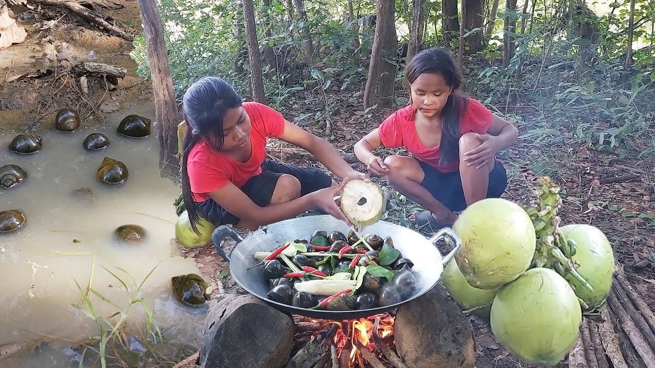 Life in jungle, Snail boiled with Coconut water So delicious food for dinner, Survival in forest