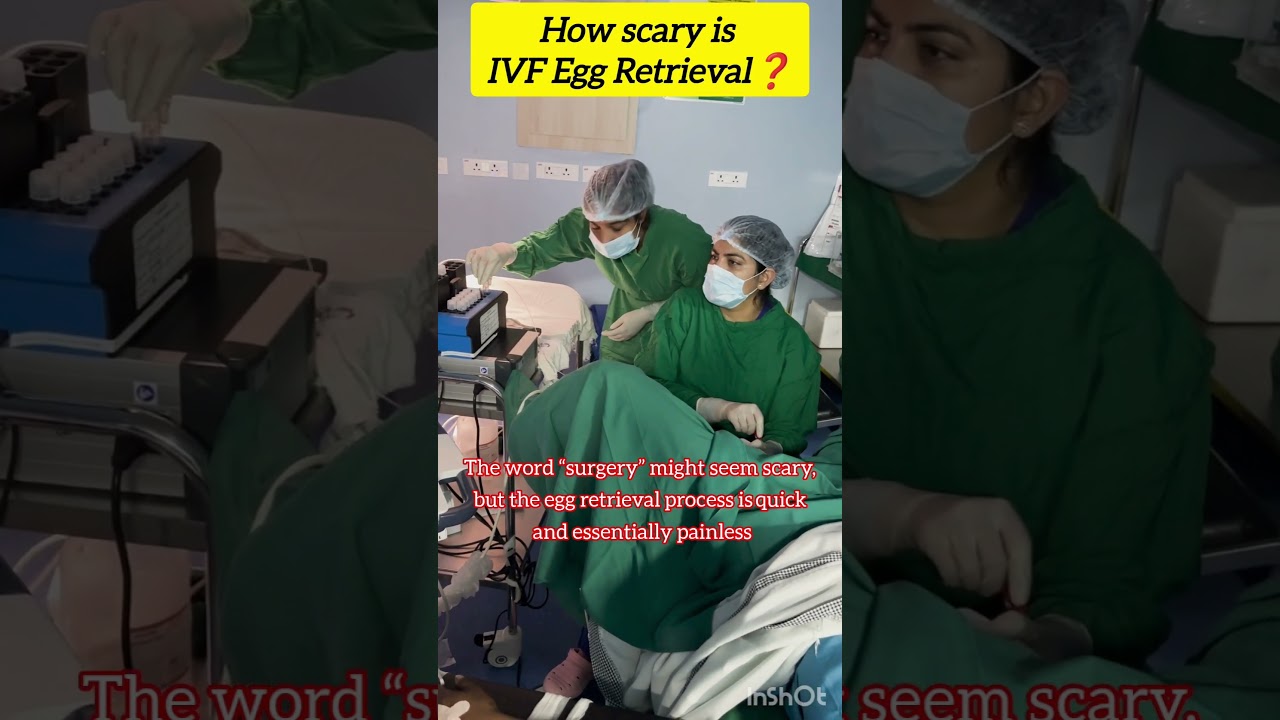 How scary is IVF Egg Retrieval Procedure #drrakshitamalik #ivfspecialist #ivf #doctor #mbbs #medical