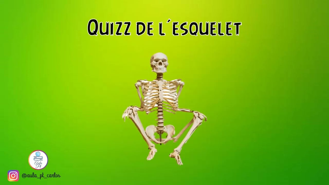 Quizz de l´esquelet