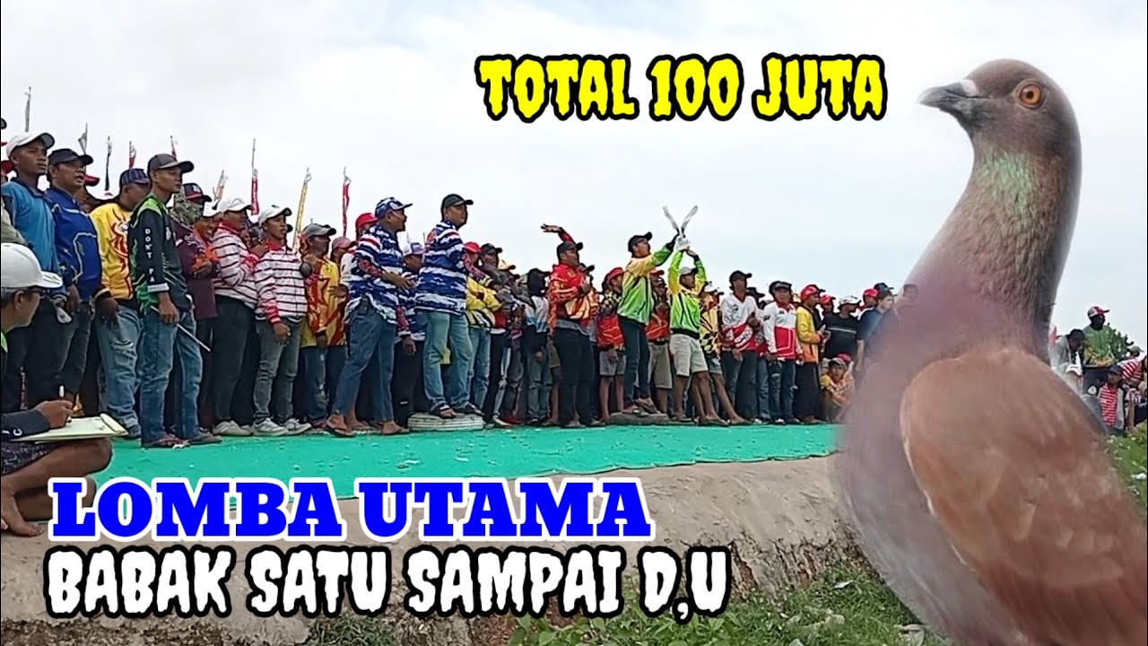 KOPLAK AREA sedang live sekarang!