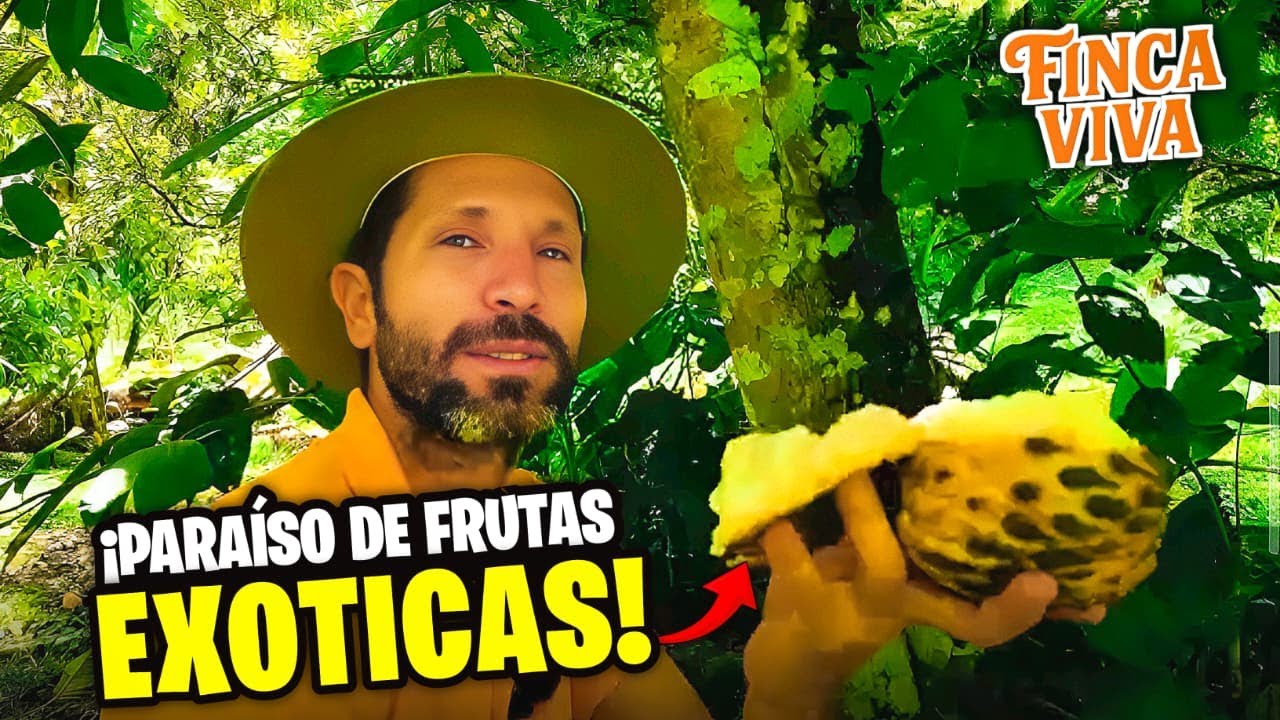 Frutas Exóticas De Costa Rica Descubre Sabores Increíbles