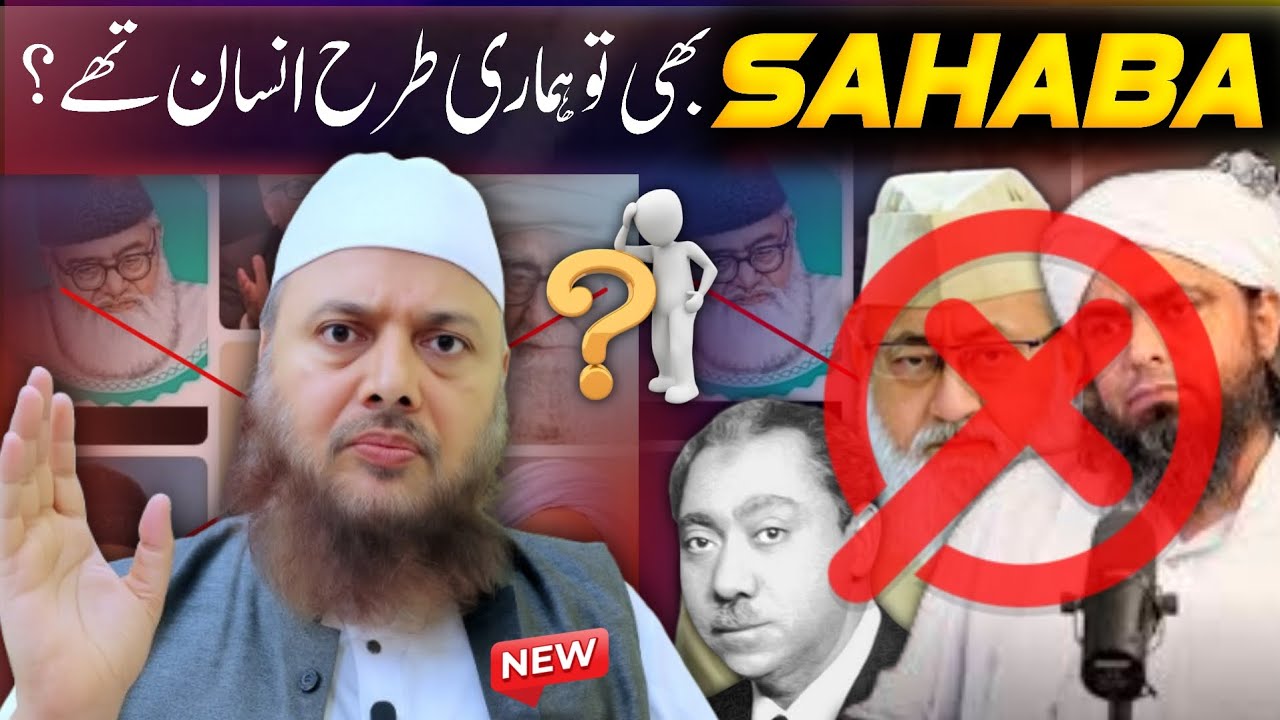 Sahaba hamari tarah insan the❓️Syed Qutub - Syed Maududi -Salman Nadwi - engineer Muhammad ali mirza