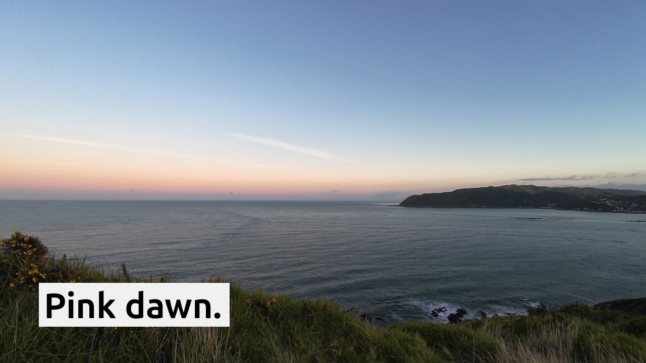 New Zealand Candy Floss Sunrise – Titahi Bay Morning Walk