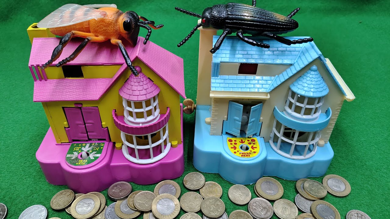 Live Unboxing Adorable Dog House Piggy Bank &ndash; ASMR Satisfying